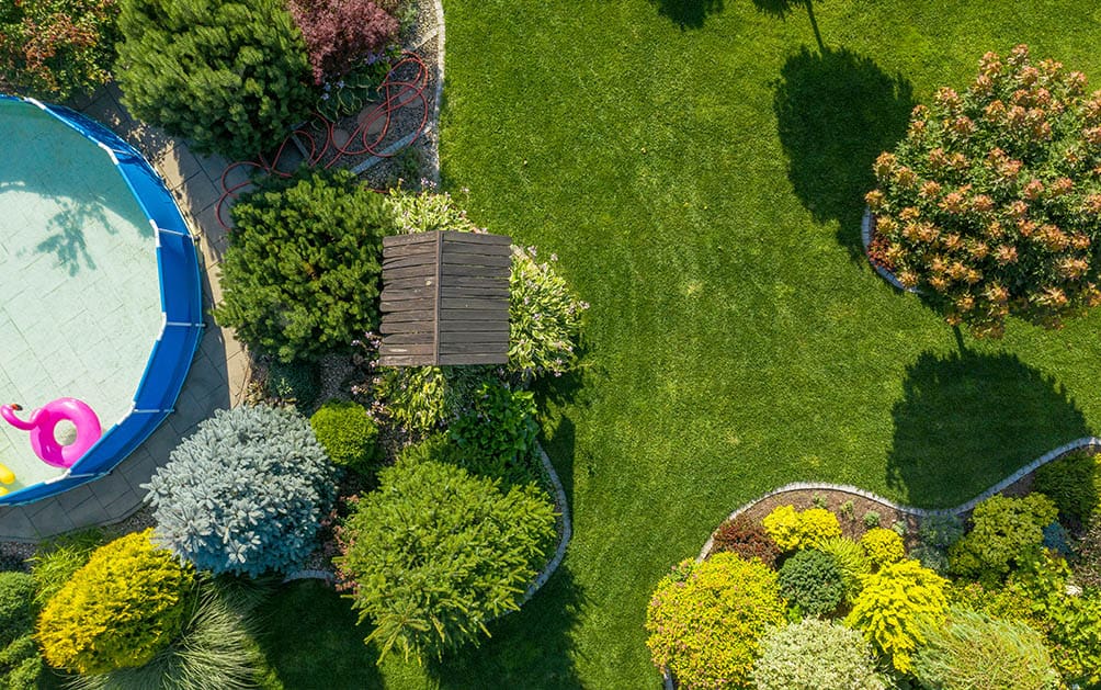 A beautiful green lawn viewed from overhead in eastern Massachusets