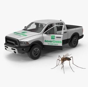 lawn treatment services from 4everGreen turf management