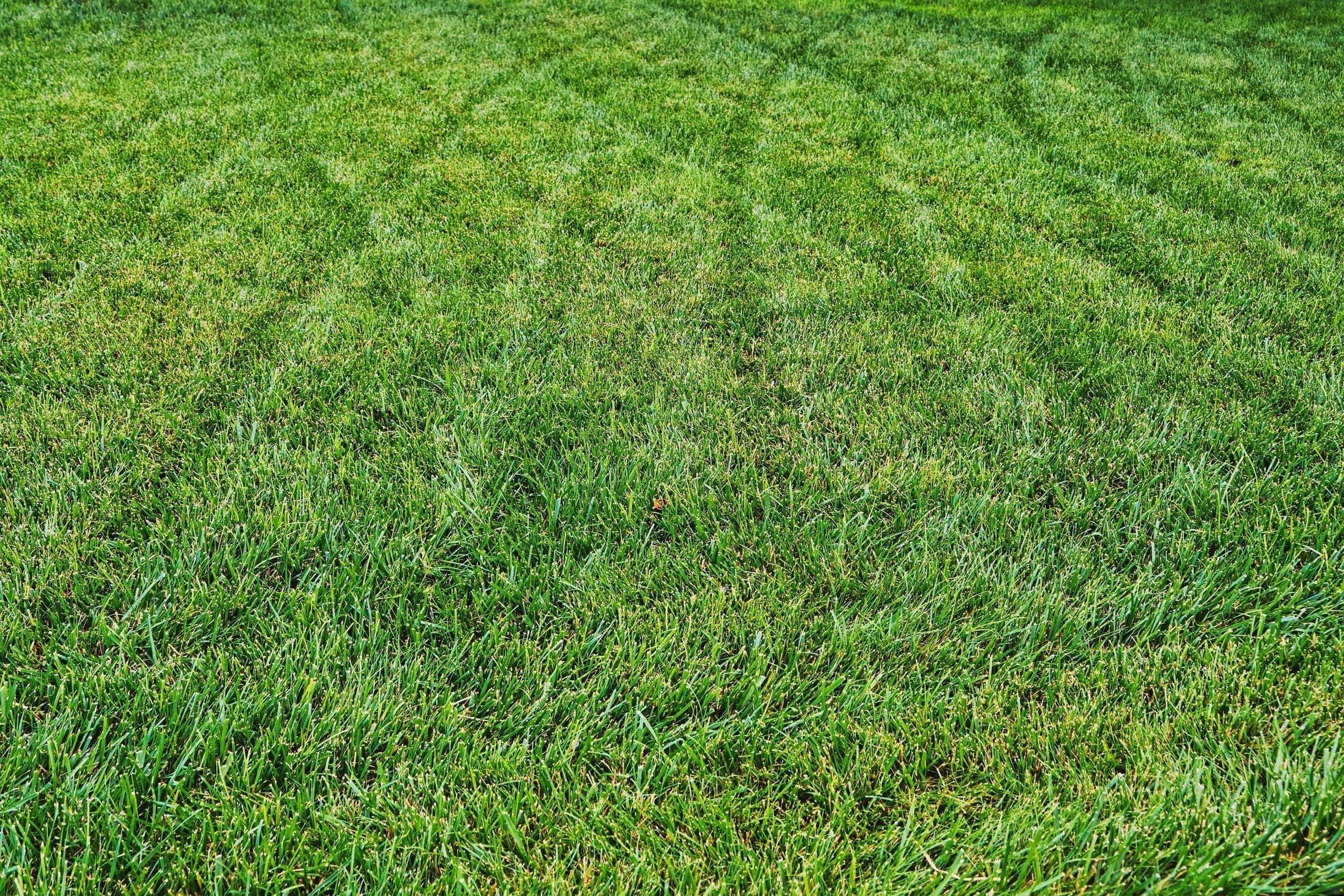 gorgeous lawns in Narragansett, rhode island