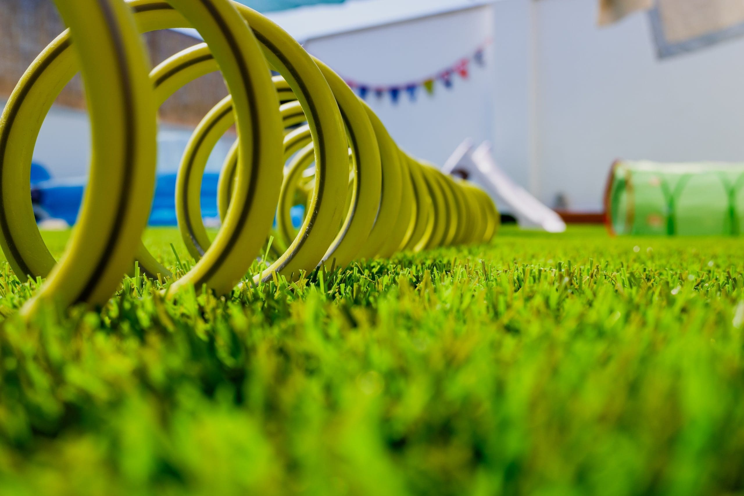 Seekonk MA green hose on the grass and compressed coiled.