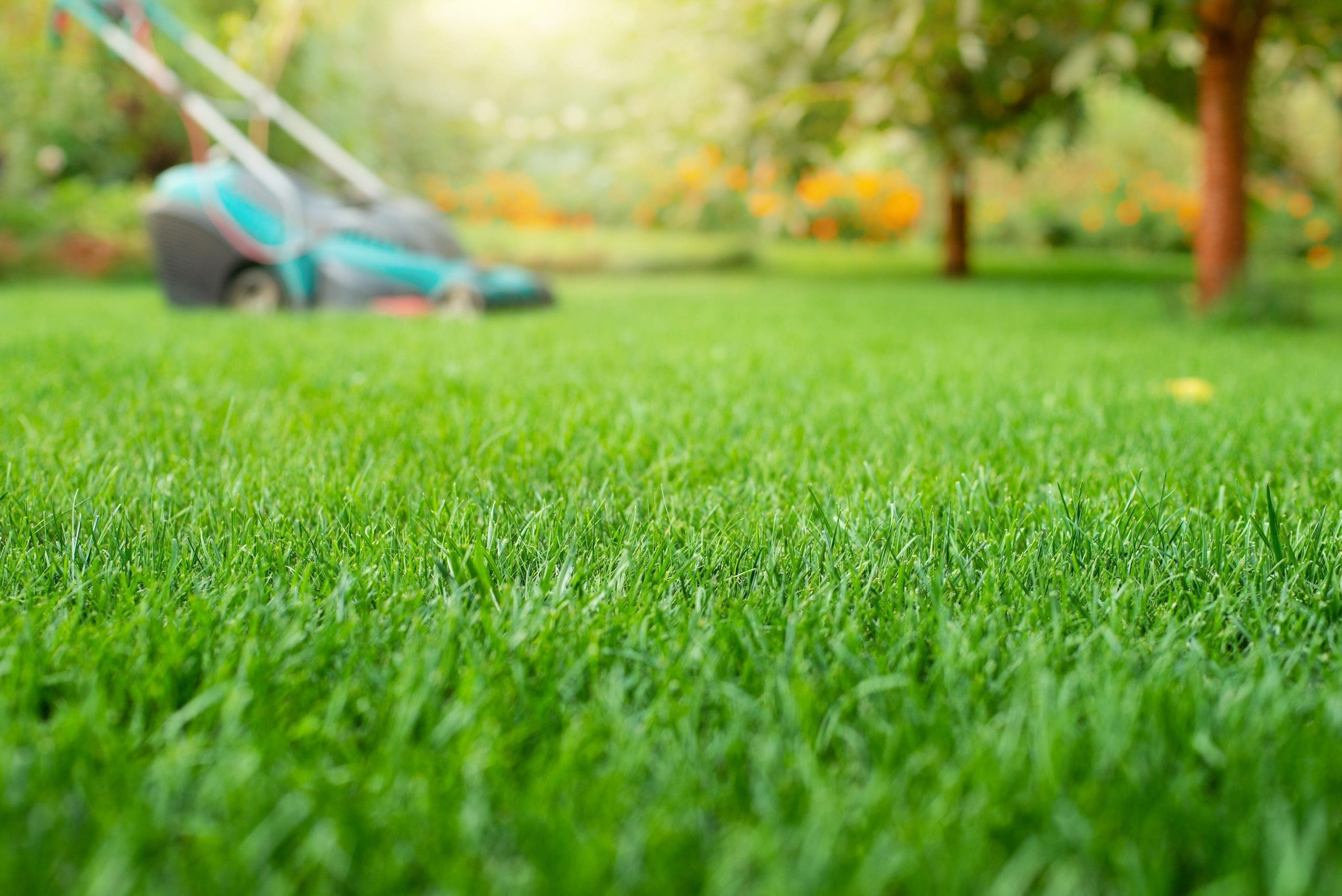 Lawn mower on grass closeup view. Lawn care in Bristol RI