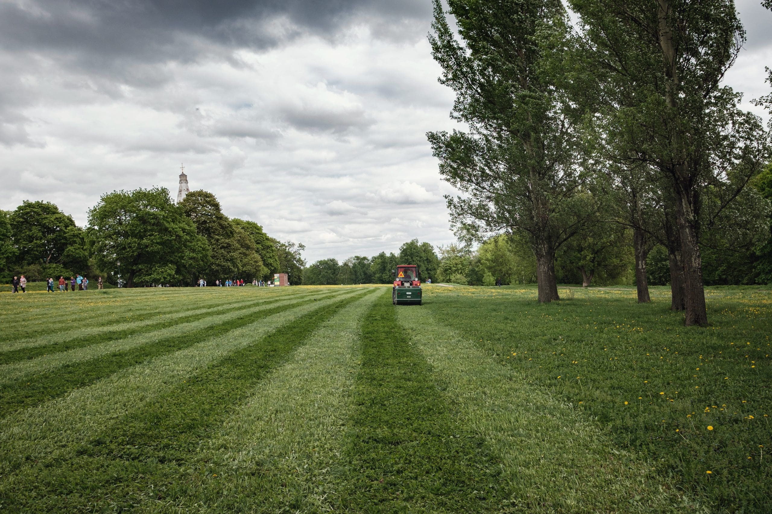 mower cutting the grass in public park. park Kolomenskoye in spring Moscow