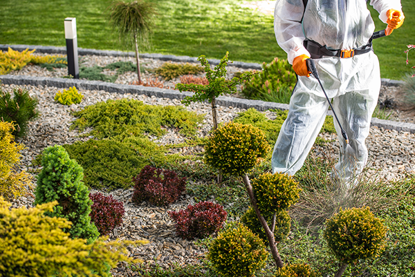 4evergreen Lawn Care