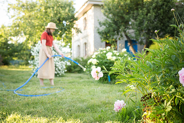 4evergreen Lawn Care