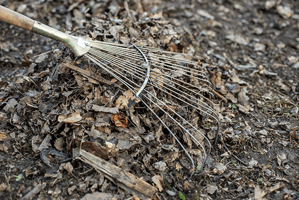 4evergreen Lawn Care