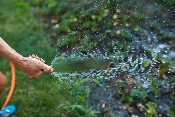 4evergreen Lawn Care