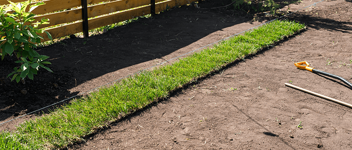 4evergreen in Rhode Island Lawn and turf care and weed control