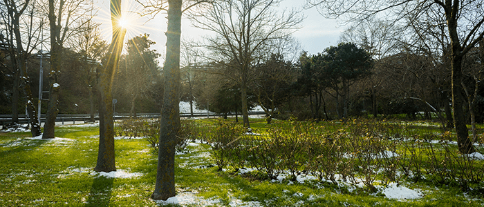 4evergreen in Rhode Island Lawn and turf care and weed control