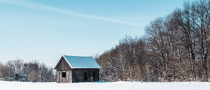 4evergreen in Rhode Island Lawn and turf care and weed control