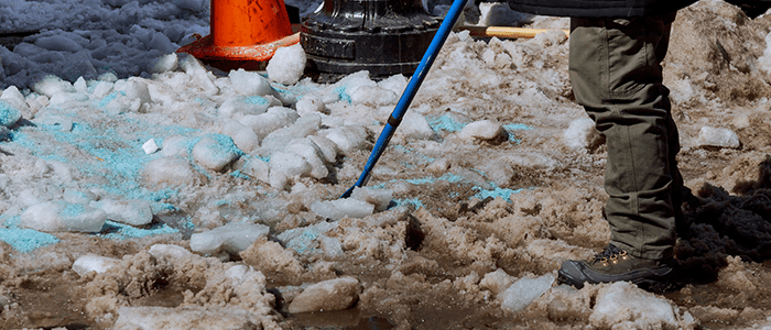 4evergreen in Rhode Island Lawn and turf care and weed control