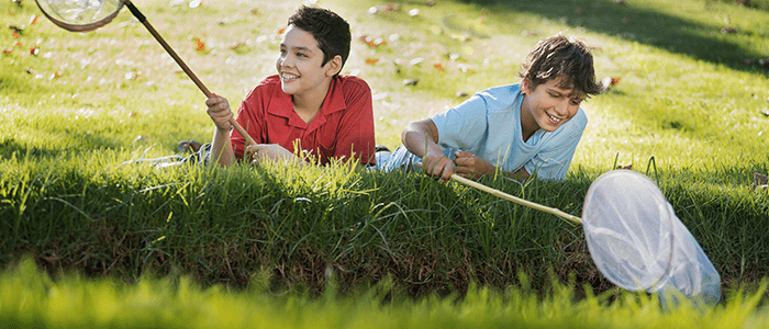 4evergreen in Rhode Island Lawn and turf care and weed control