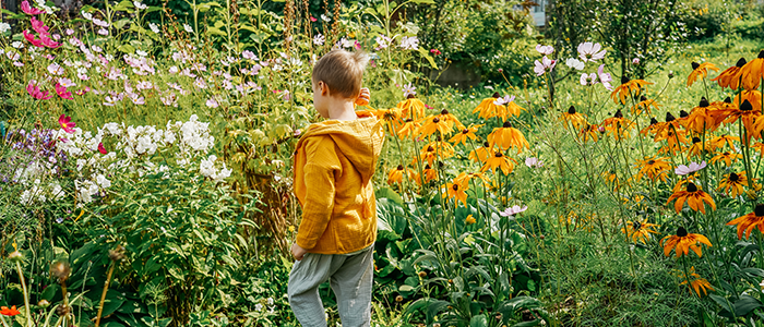 4evergreen in Rhode Island Lawn and turf care and weed control