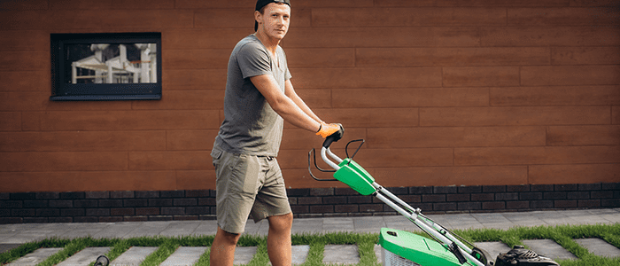 4evergreen in Rhode Island Lawn and turf care and weed control