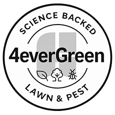 Lawn Care Services in Rhode Island | 4everGreen Turf Management