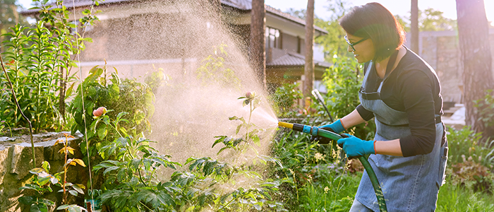 4evergreen in Rhode Island Lawn and turf care and weed control