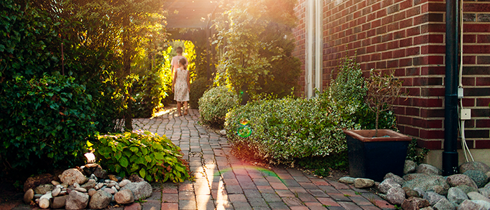 4evergreen in Rhode Island Lawn and turf care and weed control