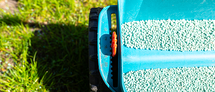 4evergreen in Rhode Island Lawn and turf care and weed control