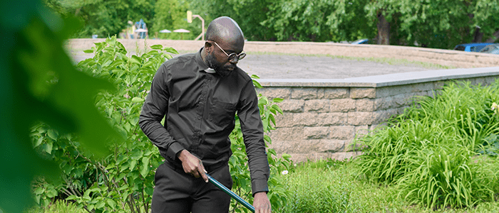 4evergreen in Rhode Island Lawn and turf care and weed control