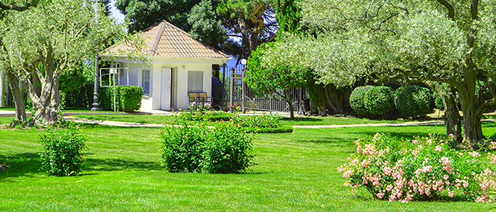 4evergreen in Rhode Island Lawn and turf care and weed control