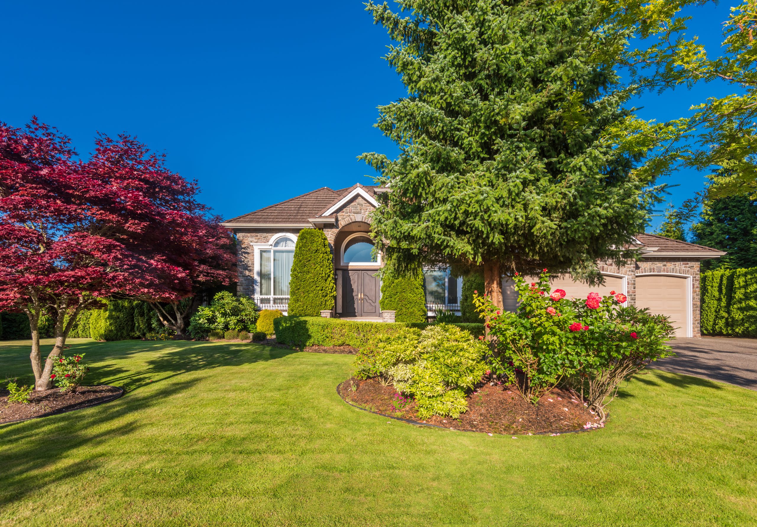 Well-maintained trees and shrubs surrounding a luxury home requiring tree and shrub care Coventry RI