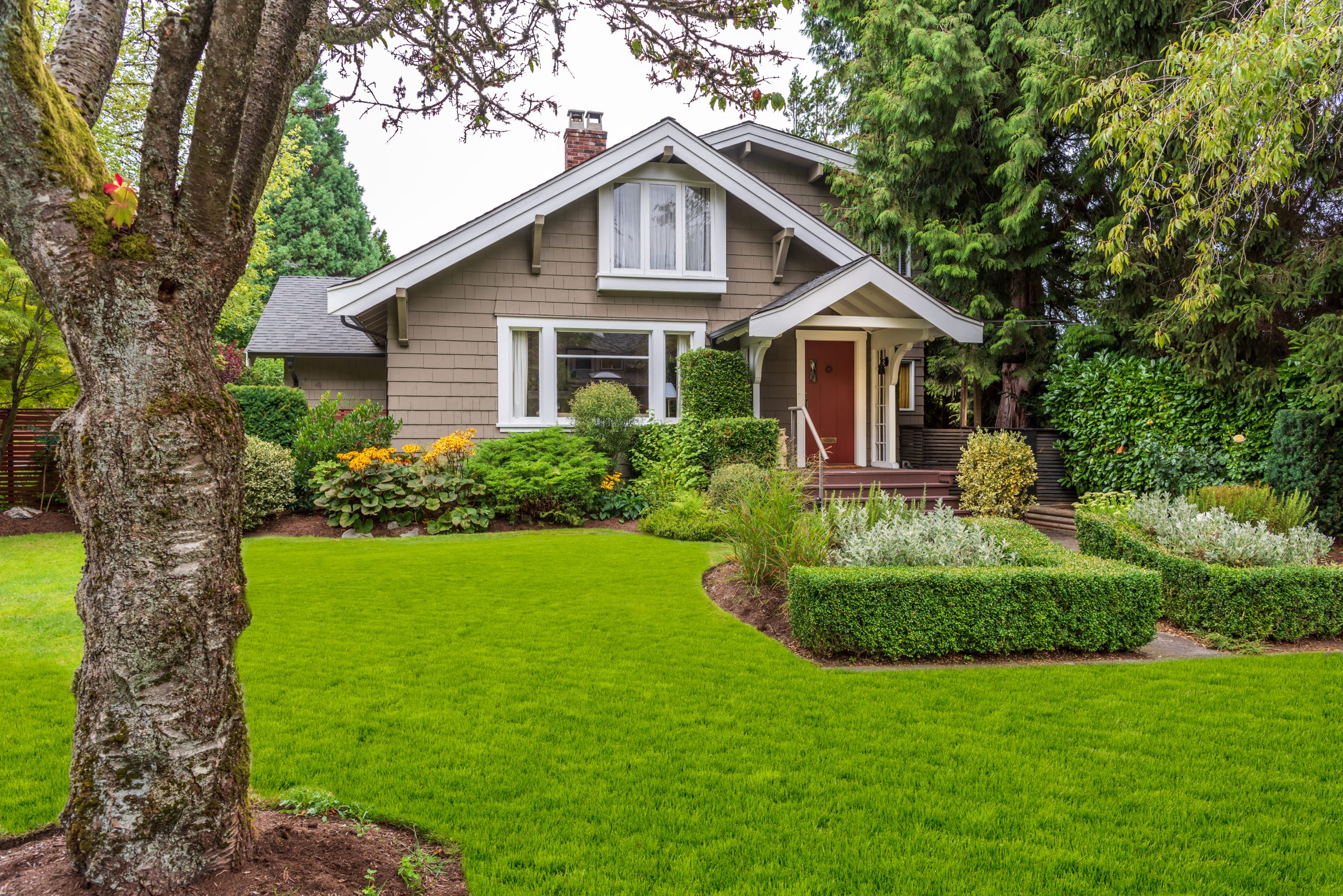 Residential neighborhood in Mansfield where flea and tick treatment services are provided