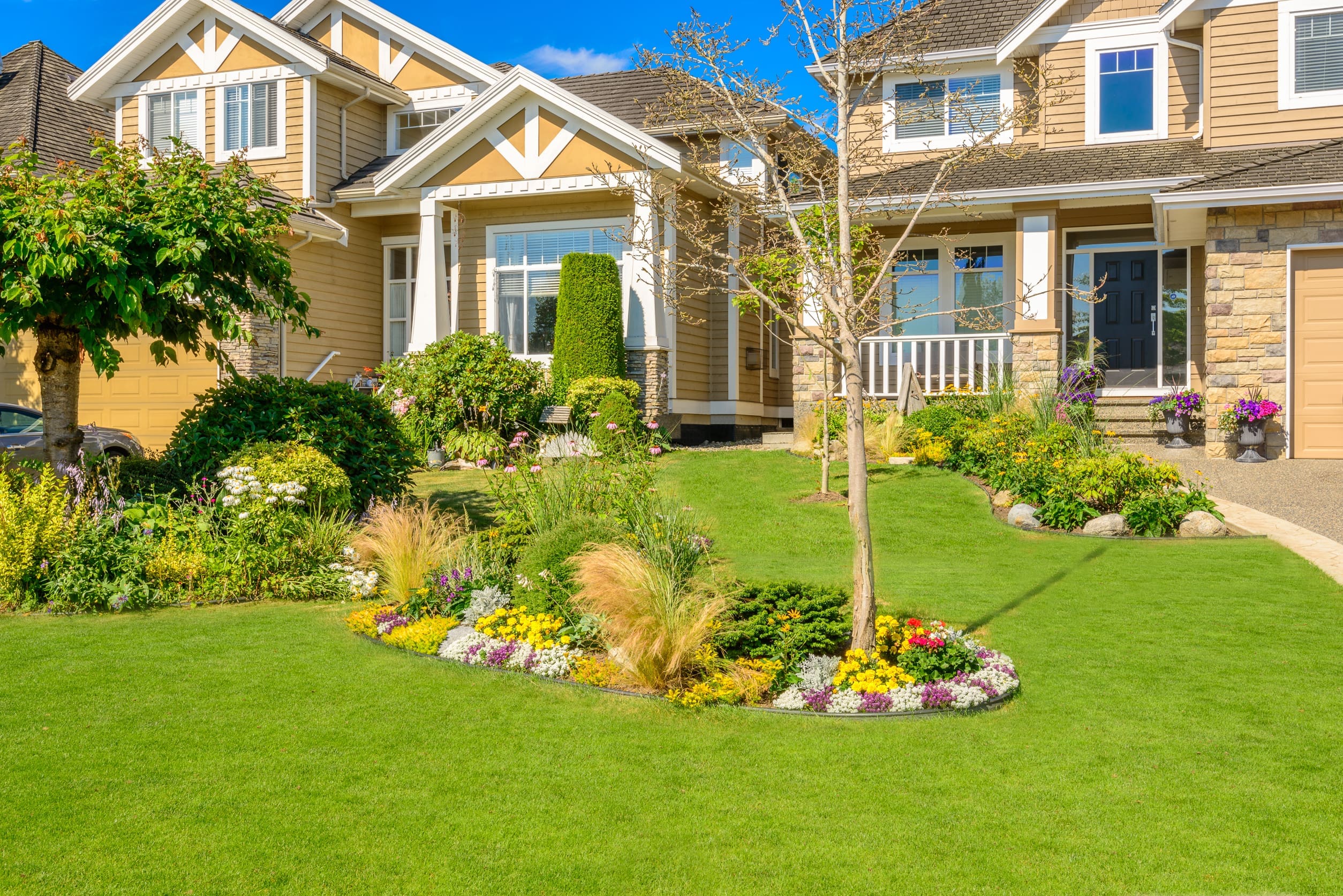 Well-maintained Seekonk yard and garden needing deer repellent protection this summer