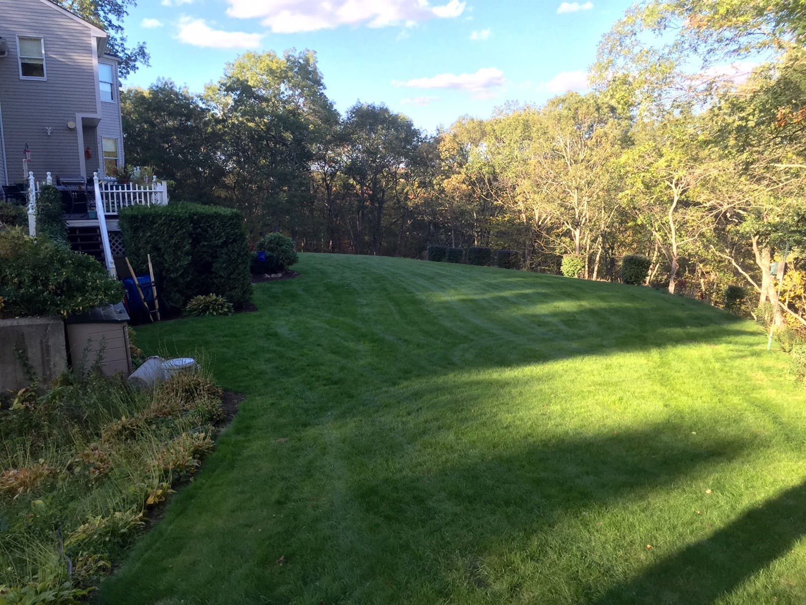 Healthy green lawn in Cranston showing ideal lawn care timing results