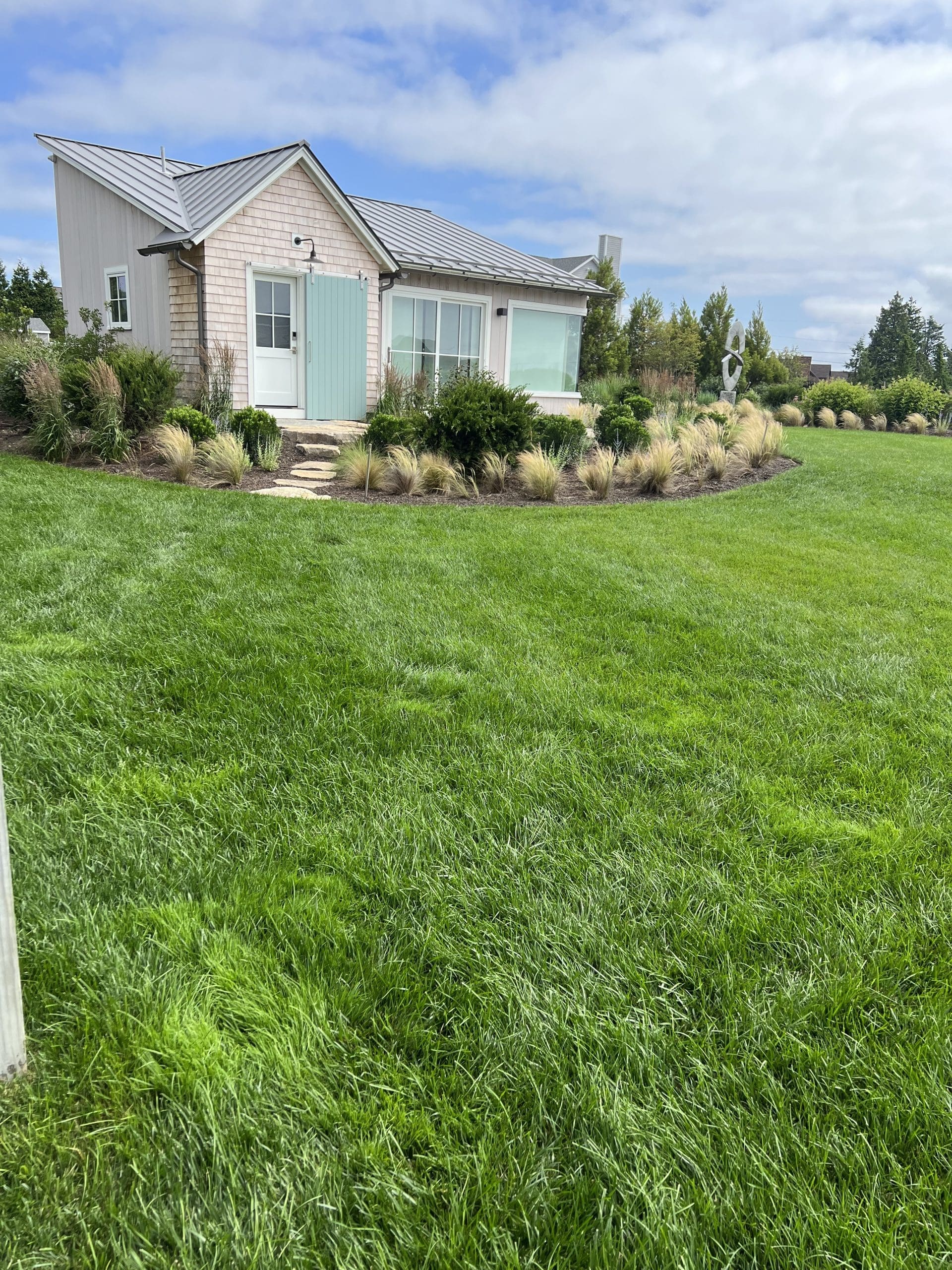 Overgrown yard vegetation showing tick warning signs Mansfield homeowners should watch for