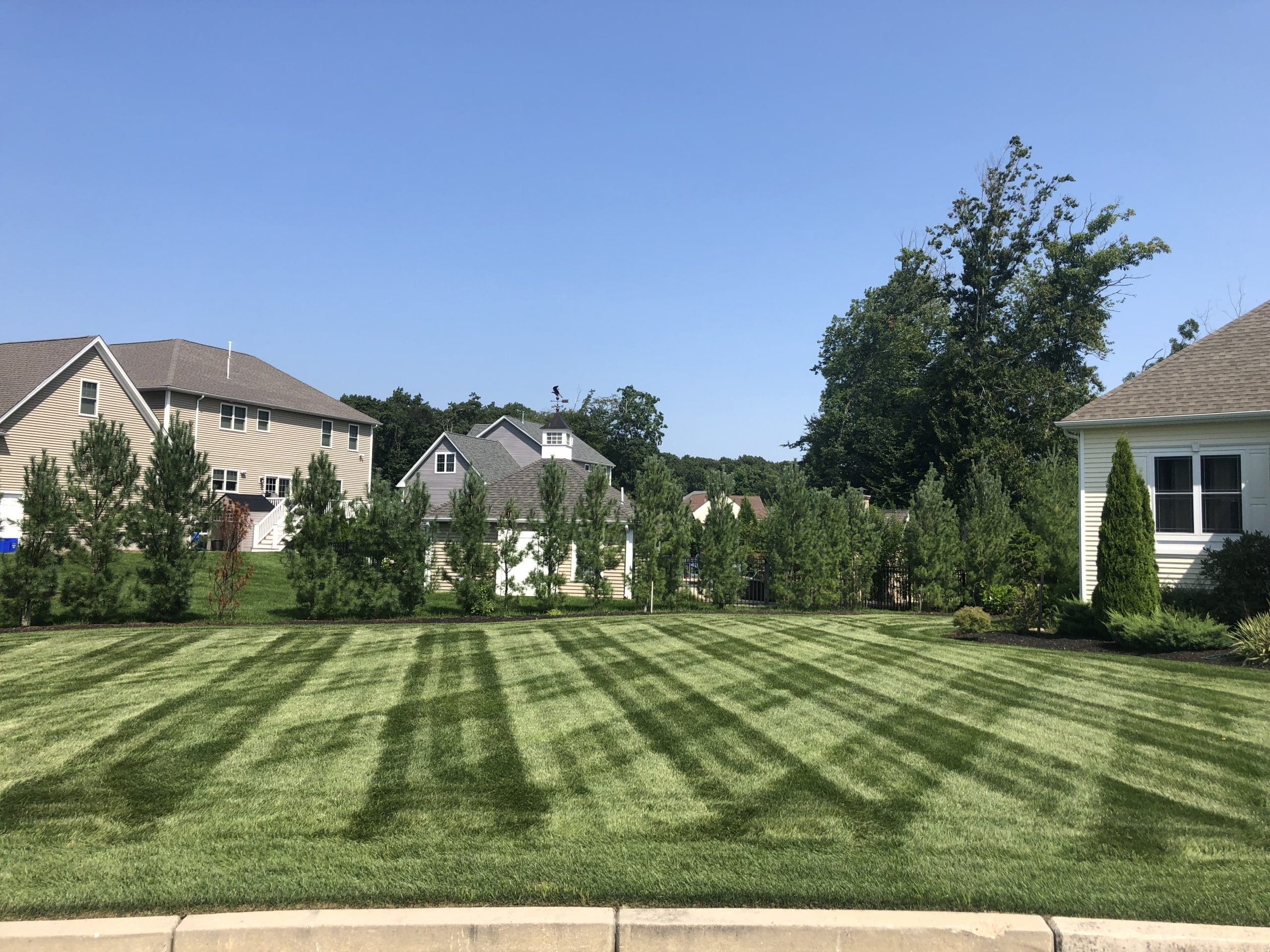 Lush green lawn ready for late summer fertilizer application in New England