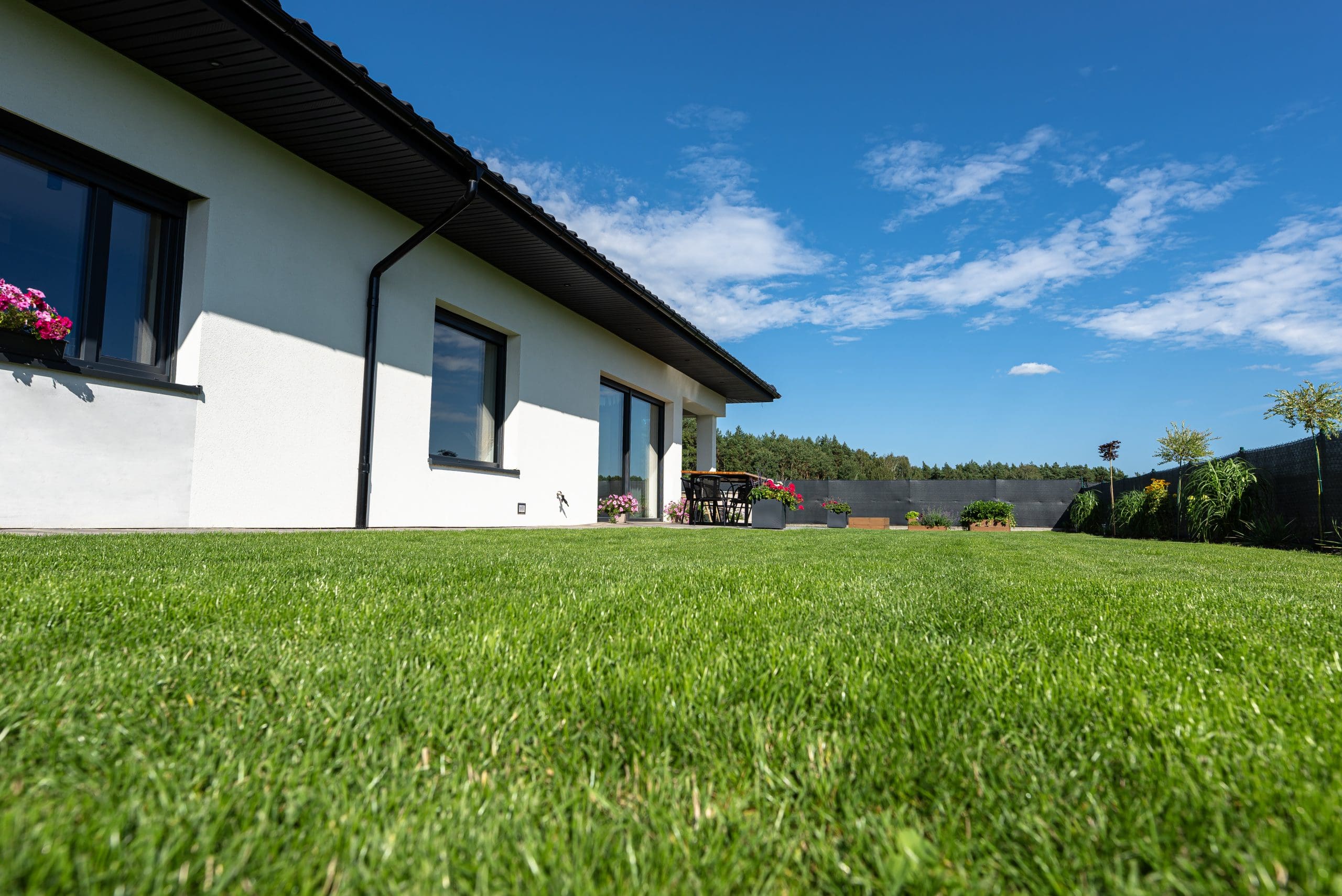 Dense green lawn that feels spongy when you walk on it