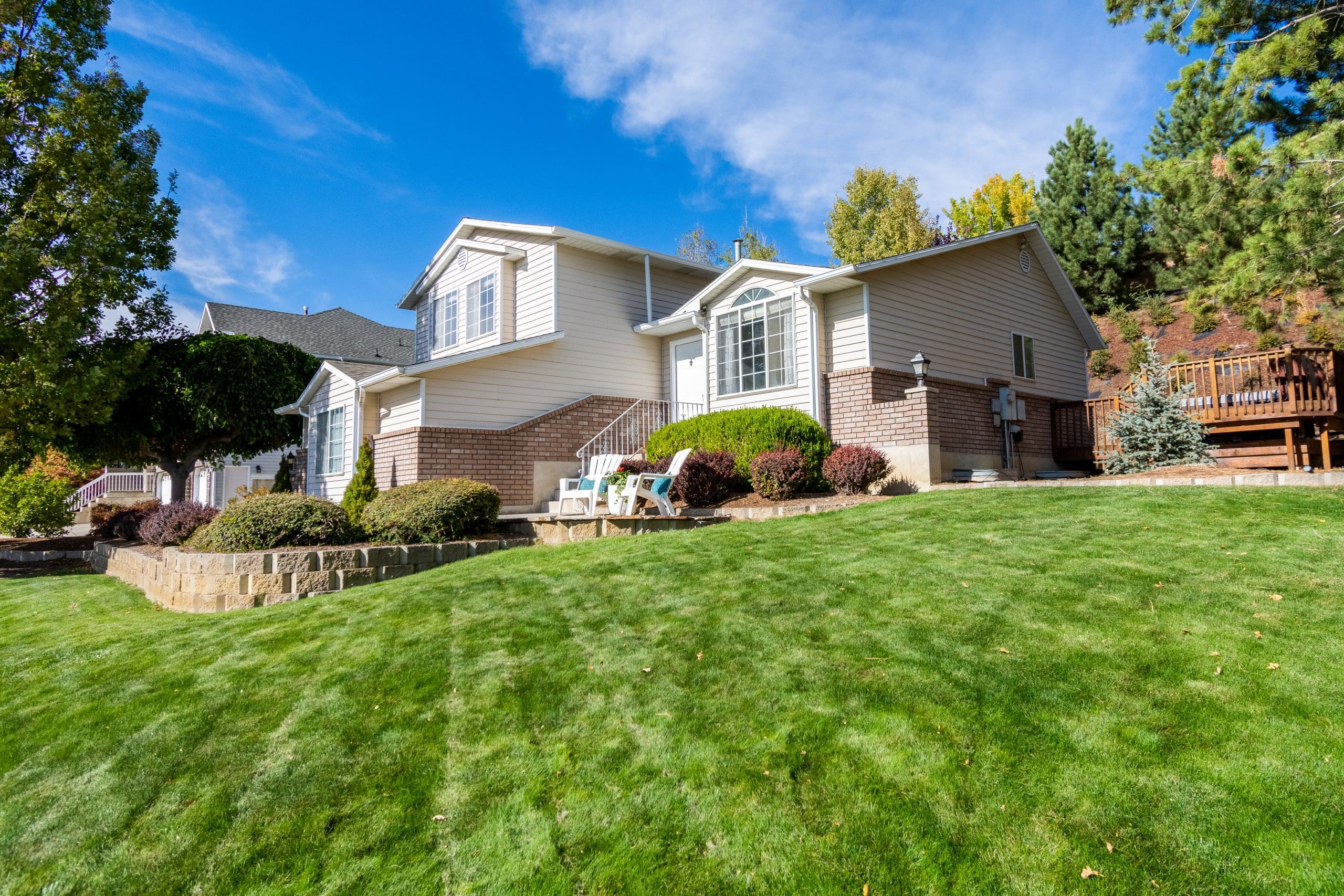 Lush green grass in front of a home where grass feels spongy when walking
